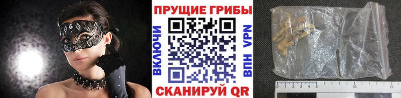 закладки  это состав  Псилоцибиновые грибы прущие грибы  Новомичуринск 